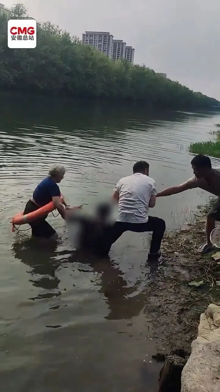 “白发奶奶”找到了！已认定见义勇为！