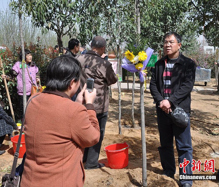 郑州推行树葬5年 500多家庭践行绿色殡葬