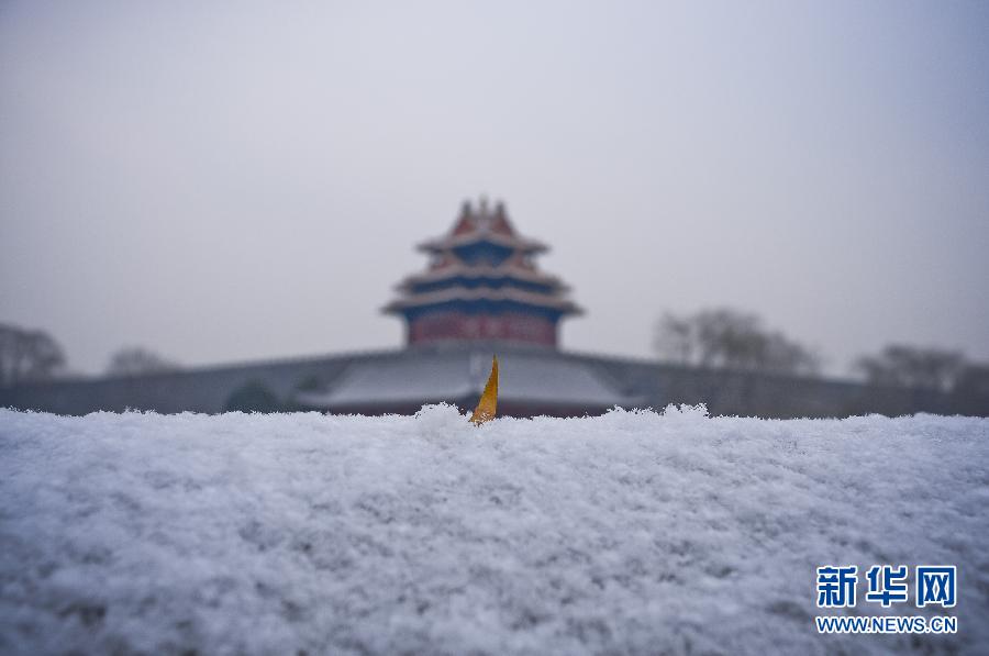 （生态）（13）北京出现降雪天气