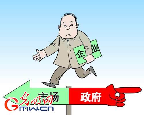政府和市场