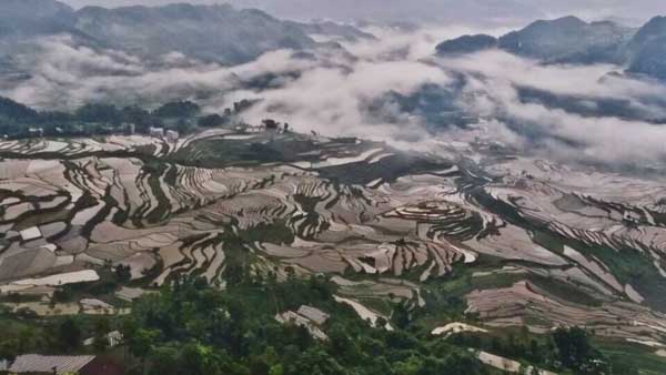 梯田晨景