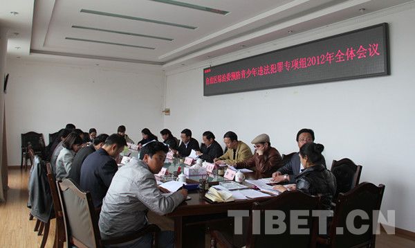 西藏自治区综治委召开预防青少年违法犯罪2012年全体工作会议