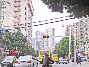 厦门警方：暂不查究闯黄灯 黄闪灯不是黄灯