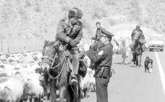 民警平安护牧牲畜顺利转场