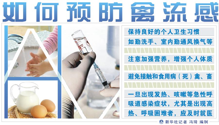 （图表）[禽流感疫情]如何预防禽流感
