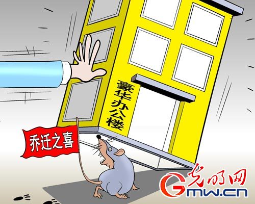 抓耗子