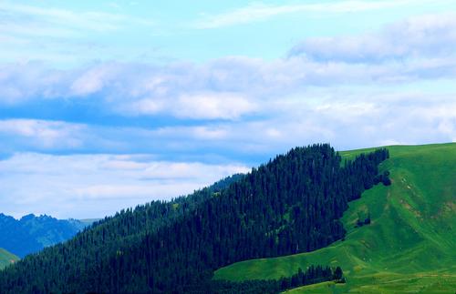 IMG_6355