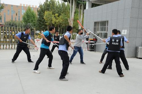 阿拉尔法院防暴处突2