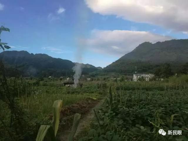 WDCM上传图片