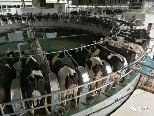 WDCM上传图片