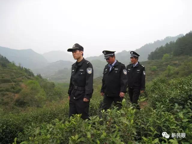 WDCM上传图片