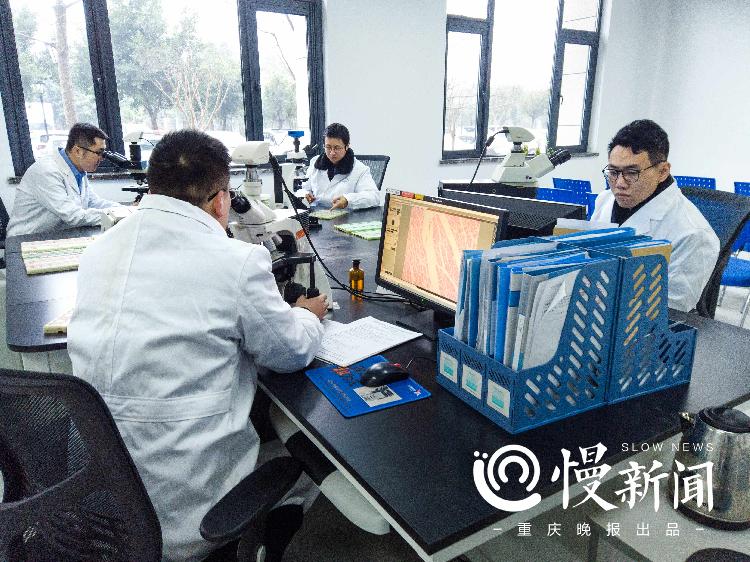 法医病理组从事更精细的镜下工作_副本.jpg
