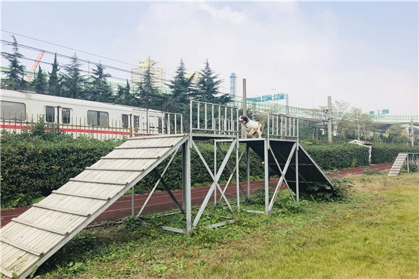 WDCM上传图片