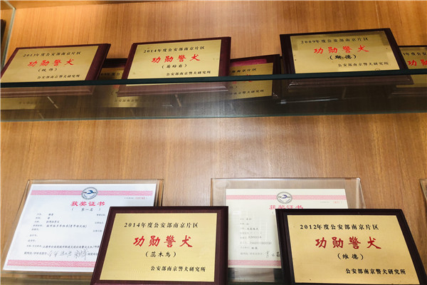 WDCM上传图片