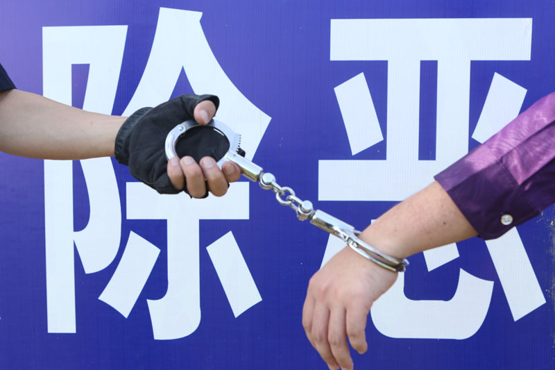 扫黑除恶在全省迅速开展，为社会稳定打下坚实基础。